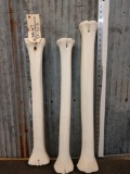 3 Giraffe Leg Bones
