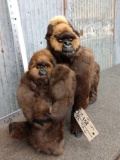 Mamma & Baby Gorilla Taxidermy