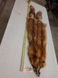 2 Soft Tanned Red Fox Furs Taxidermy