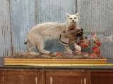 Lynx Full Body Taxidermy Mount