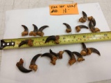 18 Alaskan Wolf Claws