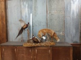 Red Fox Hunting Pheasants Taxidermy Mount