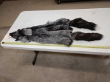 2 Soft Tanned Silver Ranch Fox Fur Taxidermy