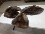 3 Soft Tanned Beaver Furs Taxidermy
