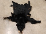 Tanned Black Bear Skin Taxidermy