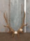 5x5 Elk Antlers On Skull Plate