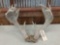 Heavy Mass Palmated Whitetail Antlers On Skull Plate