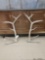 6x6 Elk Shed Antlers