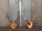 2 Sets Of Elk Antlers On Plaque
