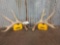 5x5 Whitetail Shed Antlers