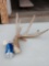 Main Frame 5 Point Whitetail Shed Antler