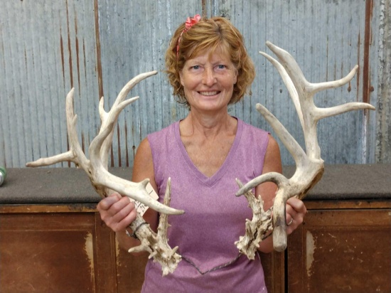 Crazy Nontypical Whitetail Shed Antlers