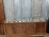 Group Of 24 Whitetail Shed Antlers