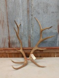 12 lbs Elk Antler Cuts