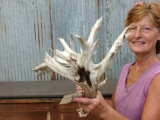 Heavy Mass Palmated Whitetail Shed Antlers