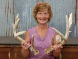 Heavy Palmated Whitetail Shed Antlers