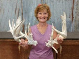 Crazy Nontypical Whitetail Shed Antlers