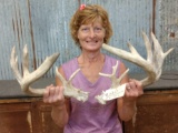 Main Frame 6x5 Whitetail Shed Antlers