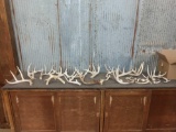 14.5 lbs Of Whitetail Antlers