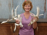 Crazy Nontypical Whitetail Shed Antlers