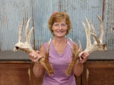 Heavy Mass Palmated Whitetail Shed Antlers