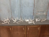Group Of 10 Whitetail Shed Antlers