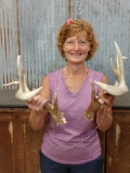 Wild Iowa 5x5 Whitetail Shed Antlers