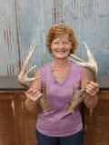 Main Frame 5x5 Whitetail Shed Antlers