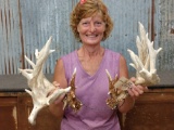 Heavy Mass Palmated Whitetail Shed Antlers