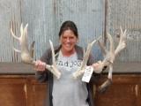 Huge Main Frame 6x5 Whitetail Shed Antlers