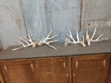 2 Big Sets Of Whitetail Shed Antlers
