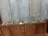 Group Of 17 Whitetail Shed Antlers