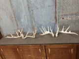 2 Big Sets Of Whitetail Shed Antlers