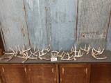 Group Of 18 Whitetail Shed Antlers