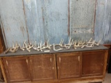 Group Of 16 Whitetail Shed Antlers