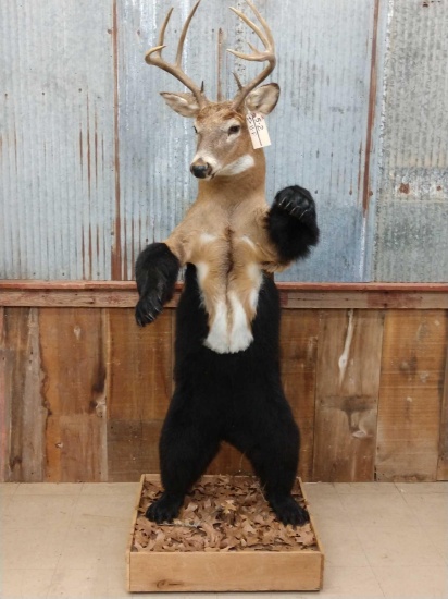 Beer Full Body Taxidermy Mount Oddity