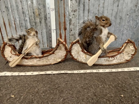 2 Squirrels In Birch Bark Canoes Taxidermy