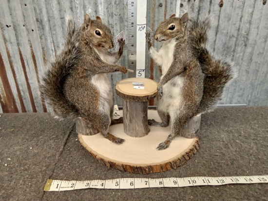 Squirrels Playing Cards Full Body Taxidermy Mount