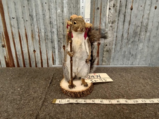 Back Packing Squirrel Taxidermy