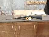 Savage Model 64 .22 Semi Auto Rifle