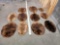 11 Beaver Tanned Furs Taxidermy