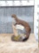 Mink Full Body Taxidermy Mount