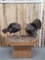 Dual Turkey Pedestal Mount Taxidermy