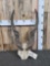 African Eland Horns On Skull Plate