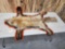 Red Fox Rug Taxidermy