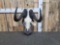 African Bkack Wildebeest Skull On Plaque