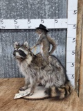 Cowboy Squirrel Riding A Raccoon Taxidermy