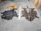 2 Dyed Ostrich Skins & Wildebeest Skin Taxidermy