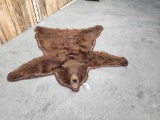 Big Cinnamon Phase Black Bear Rug Taxidermy