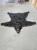 Black Bear Rug Taxidermy